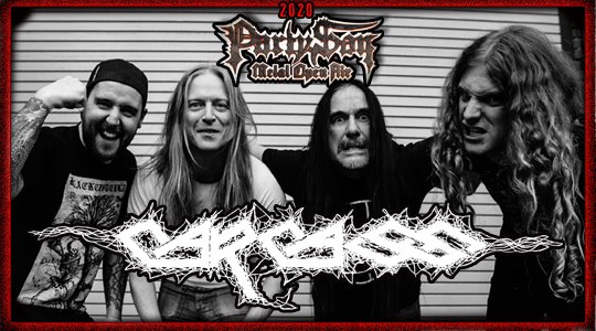 carcass